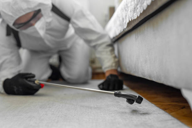 Professional Termite Control technician working in Hapeville, GA