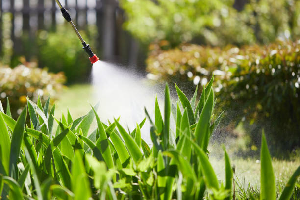 24/7 Emergency Termite Control experts in Hapeville, GA